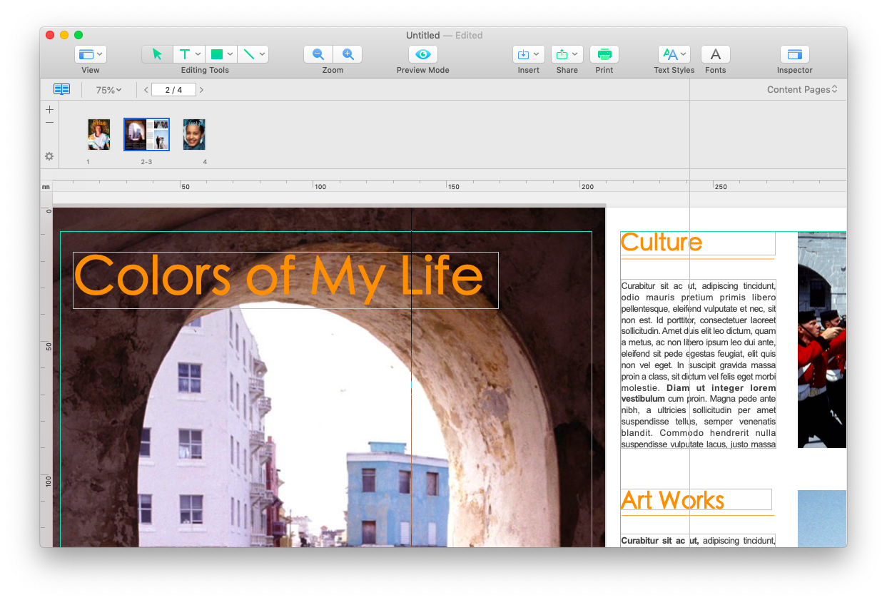 publisher 2013 for mac